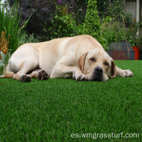 2021 césped artificial para mascotas Putting Green